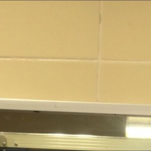 Meet your Posher, Lucy